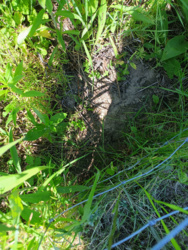 7f5065b9-6e6b-4f5d-8960-f96e553888b3