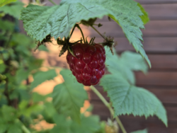 e587f885-adec-4411-9a2a-c38c9d0ad263