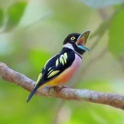 3730c60e-0a47-4b1e-85e3-9fafce0fce70