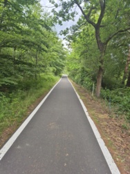 23241c60-a8d5-4874-aa9a-f2a220095579