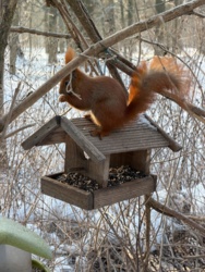 dce5a3a4-c1b0-4f91-9d03-264aef55d954