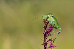 89e045af-1591-4a35-b5aa-c6809d9a44e5