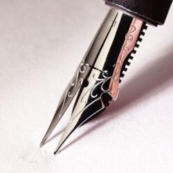 dad36e6e-d869-4cf8-bba0-3a807bec9258