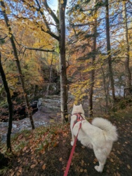 e760831a-56bc-404a-9bac-170ffcc3f62a