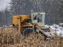 d8030beb-c1d5-41b2-ad3e-11e7c85d5bf9