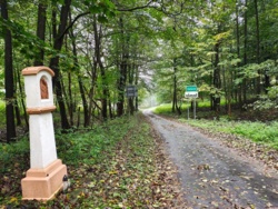 42d8f4cb-e142-4e2e-bd82-97d03ef19b05