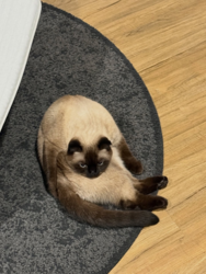 a89f10be-2c6b-4762-a60f-2270a2782279