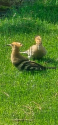 c60907df-3d41-4220-bfb7-8cbc49777a47