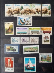 842c940c-66ea-4b86-be45-0c75ddfd7724