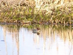 91a6a34c-4001-4503-8aa3-37526c984cfb