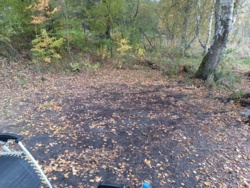 3de098d4-a4bf-4e28-884e-23389d75c645