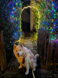 4349f166-534e-4daa-ae82-00ec02841550