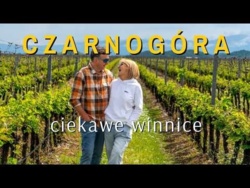 Winnice, które warto odwiedzić w Czarnogórze (4K)