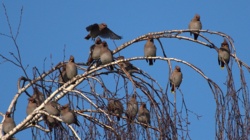 3557079c-8799-4e12-b2a4-4db6f6b0acd5