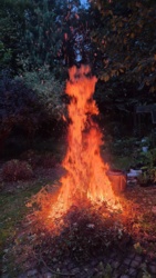 576a4bad-31cb-4cf1-97cc-121128ad643c