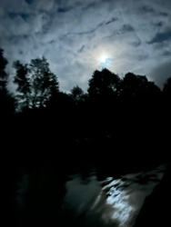 2afca2a1-9a5a-4b94-9b08-1a6c91f66119