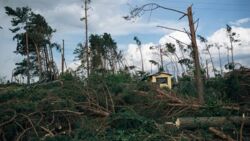 Z powodu gwałtownej burzy ewakuowano obóz harcerski. Dwie dziewczynki trafiły do szpitala