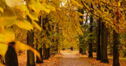Oficjalnie mamy jesień! Wkrótce zmienimy czas na zimowy