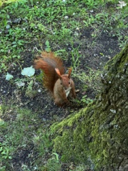 af42d383-6540-4fe5-911b-d4c100a35c19