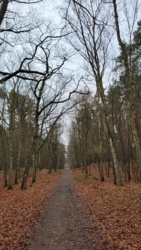 836fbd69-bc0b-4f0d-8caf-d41d83f07ae4