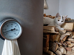 cc0d6bde-67ba-446c-a4c4-ba79752490fa