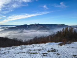 ab16415e-7032-4b38-9be5-6ec4e80dd256