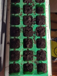 7c908a4d-2a8c-4634-8451-ddd679ecf565