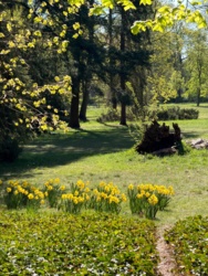 e69bb81e-98d1-4ba2-b108-a4045b3cdea5