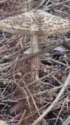 95b4172e-28d8-487b-ae0c-4968850ec7b9