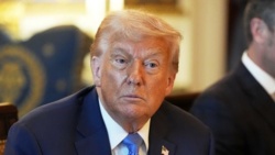 Wrze wśród lojalistów Trumpa. "Elon miał rację"