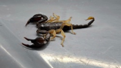 1af421ee-56b1-41f0-bc0d-4af9ef03887c