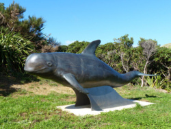 a2f6ff92-02d7-4764-923d-4ab01051722a