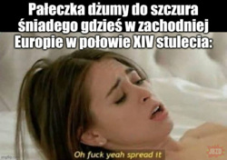 aaa6cd4f-be45-4668-9b31-ff0e20e902cb