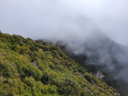 270be5a0-d5cc-403b-ab34-bafb2bec61d4