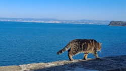 8df81844-8116-422e-949d-5cbd801cbb85