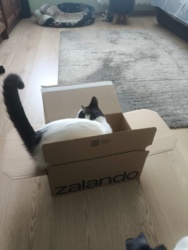 ad3c8bdf-fb76-4b58-b255-fae1272c7b9c