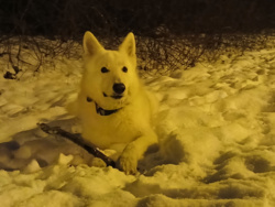 288321af-d5a9-4d9a-81b6-15b351991b6f