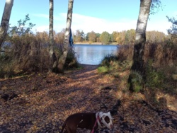 02b2dc41-ad67-4ea5-af93-68e145ef7b8d