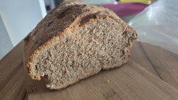 d45e2f72-ad59-436e-a66b-03790d641373