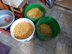 991cb541-d84f-4eaf-80b6-cdd3c27c2608