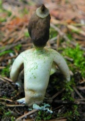 7ce1bcd3-b016-4b2a-a133-21a9f2c24da6