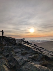 1cb7cc88-a9da-4bbd-9f5b-aeb3e99d8434