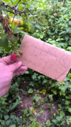 78aa8641-8023-499c-8ae2-bd651035ba33