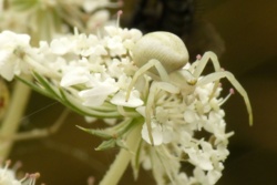 ca6350e0-4824-4df5-a306-e5a8d31962ec