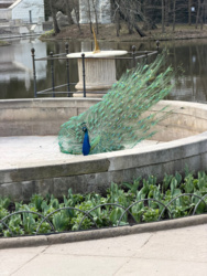 90f3d2f4-b2cd-4b63-87e4-0936741fdcfc