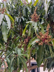 9c47e6de-1b9d-41d9-b878-11106530c2b8