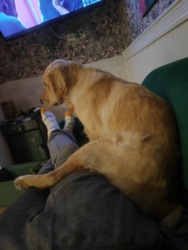 fb22210c-5c53-4c66-82b7-1b7e640c11a2