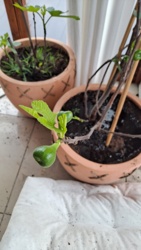 d14c3af0-b0bf-442d-bdd6-001696eaaaed