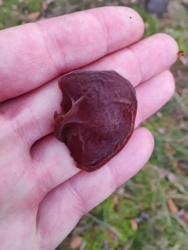 77b9501f-4869-4f26-ae3c-bfd52fa72644