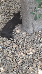 97fea8af-286e-4df2-b332-df8f8acec56c